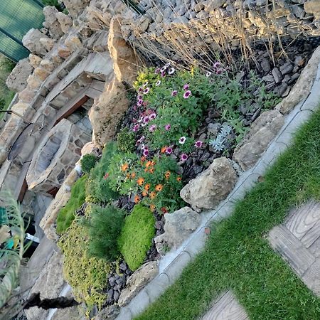 Villa Garden Bešeňová Exteriér fotografie