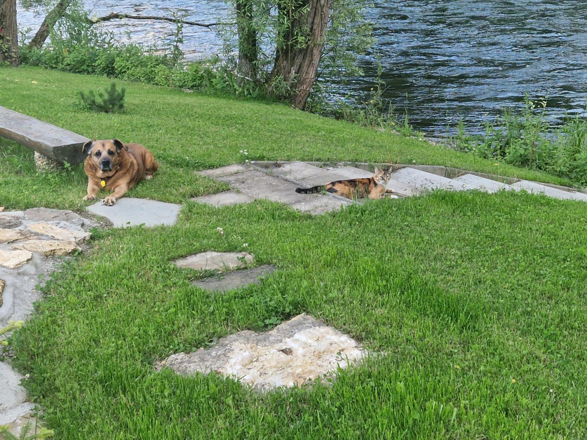 Villa Garden Bešeňová Exteriér fotografie