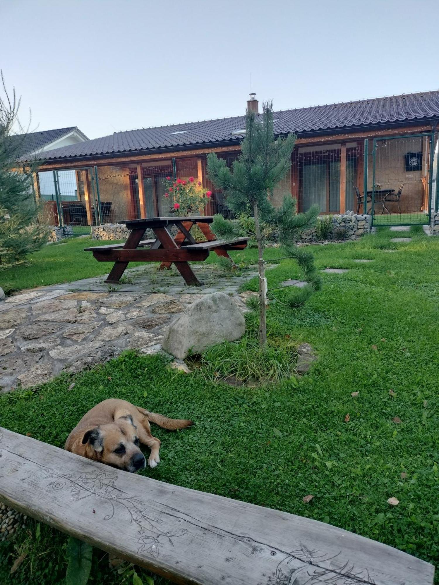 Villa Garden Bešeňová Exteriér fotografie